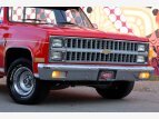 Thumbnail Photo 2 for 1981 Chevrolet C/K Truck